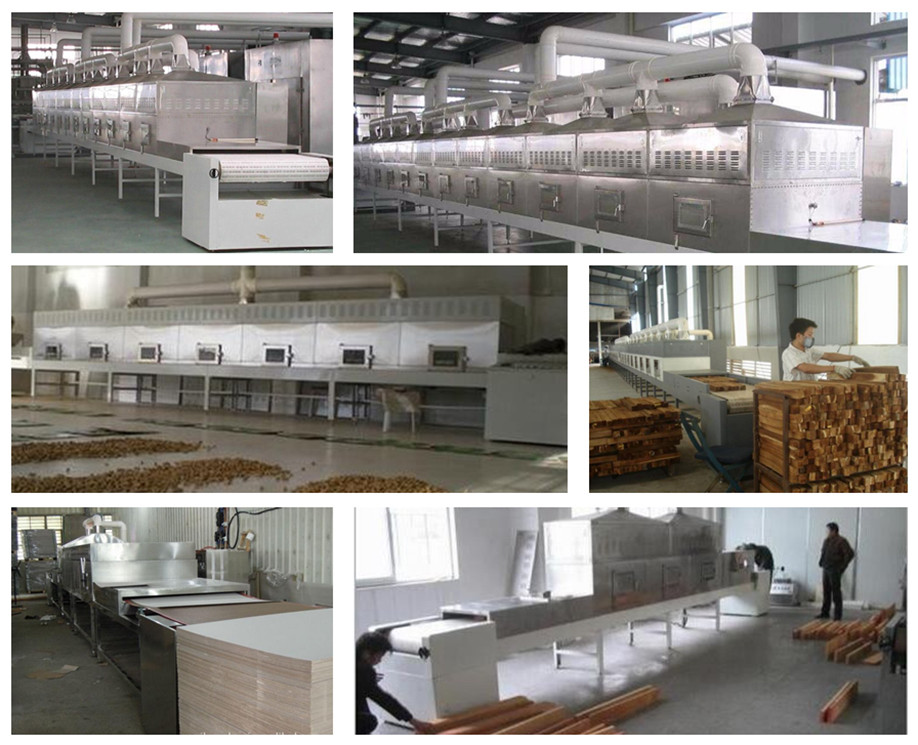 Industrial Tunnel Bamboo Shoots Microwave Dryer&sterilization Machine