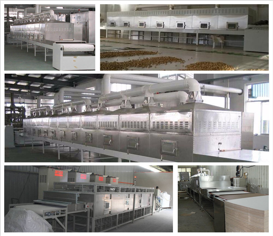 tunnel microwave Tsaoko / spice drying /sterilization machine