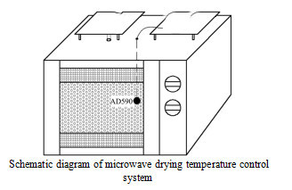 Experimental study on microwave drying of longan