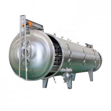 Industrial Hemp Hot Air Continuous Belt Fruit Dryer Drying Machine