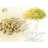 bulk hulled hemp seeds Market Price #3 small image