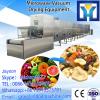 900kg/h fruit and vegetable dryer/tea dryer in Italy