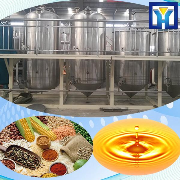 Full stainless steel Peanut oil processing machine /peanut oil making machine /corn oil press machine price #2 image