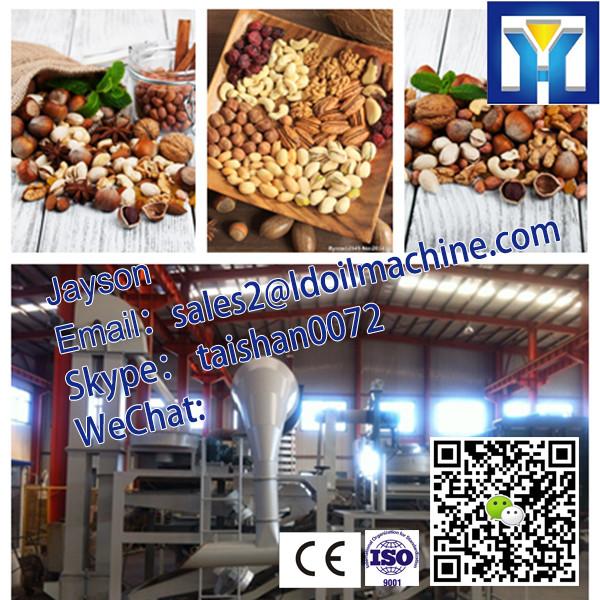 Sesame,Olive Oil Hydraulic Press Machine 20-120kg/h #2 image