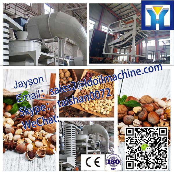 factory price pofessional 6YL Series baobab seeds oil press machine #3 image