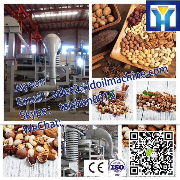 HPYL-200 Big Capacity Cold Oil Press Machine #3 image