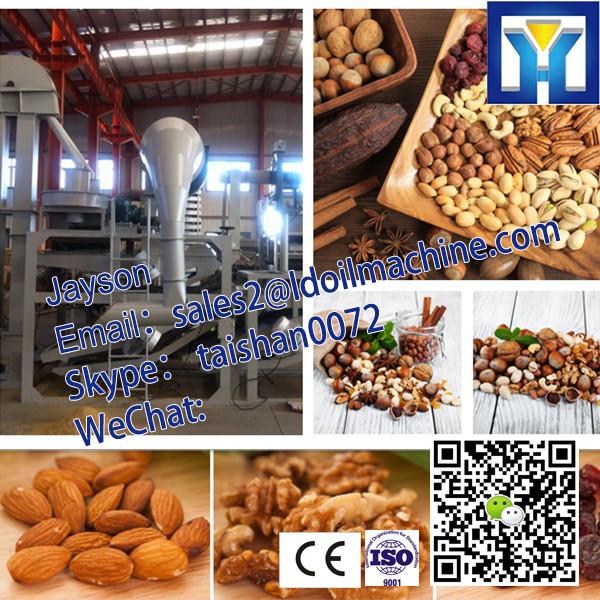 2015 Professional Plam Oil, Palm kernel Oil Extraction Machine #2 image