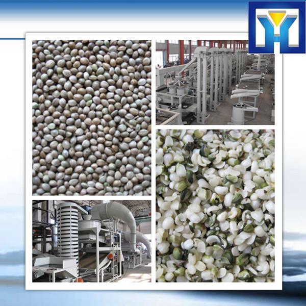 50-100kg/h High Oil Output Hydraulic olive oil press machine #1 image