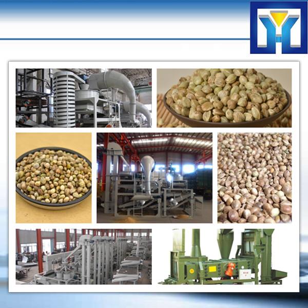 HPYL-200 Sunflower/Soybean/Peanut/Palm/Cottonseeds big Capacity Oil Press #1 image