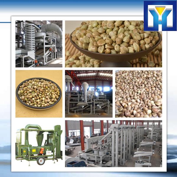 factory price pofessional 6YL Series canola oil mill #1 image