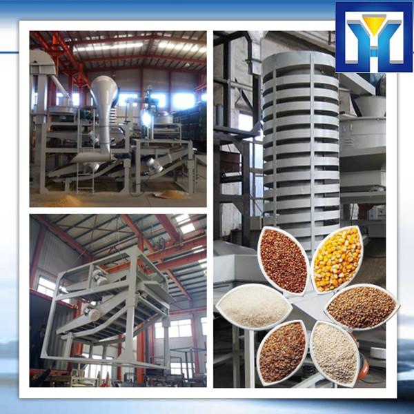 1T-20T/H Palm Oil Fruit Processing Equipment in Malaysia #1 image