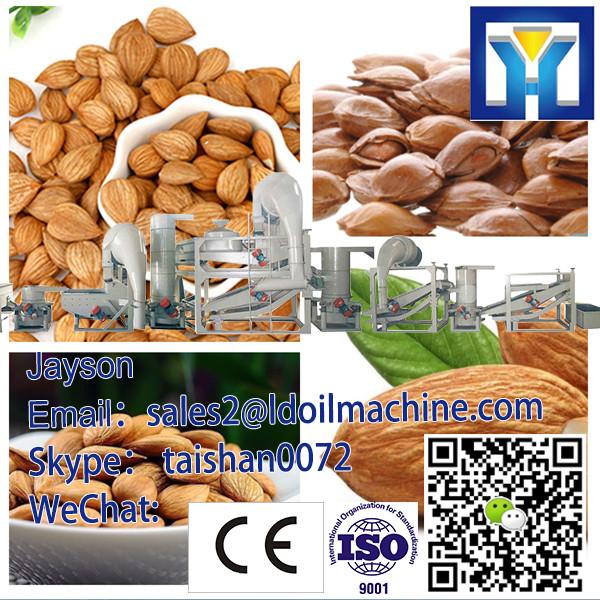 200-600 kg/h dry horse bean peeling machine/ horse been peeler machine / horse bean skin remove machine #1 image