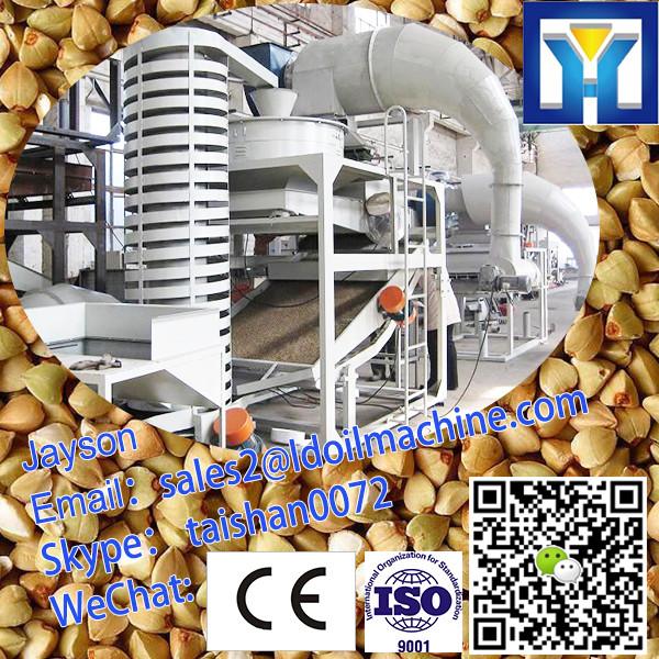 hot selling in Kenya buckwheat hulling machine with price #1 image