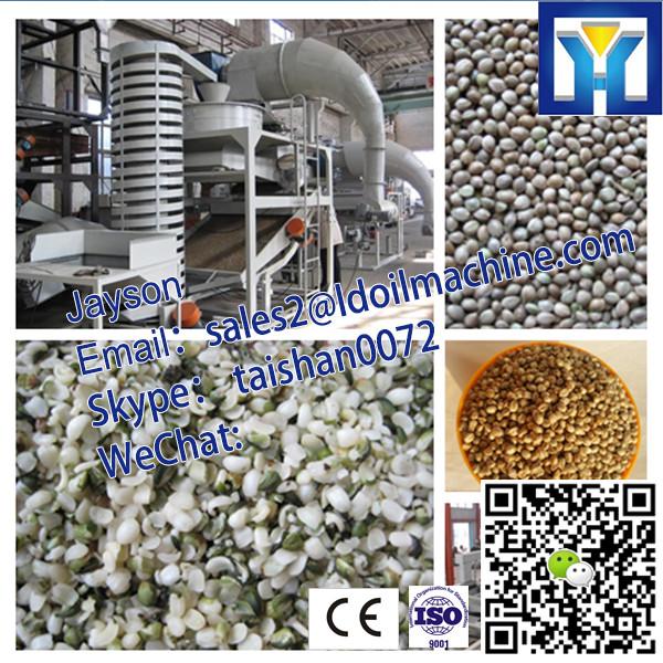 Fish Feed Making Machine|Small Wood Pellet Production Line #1 image