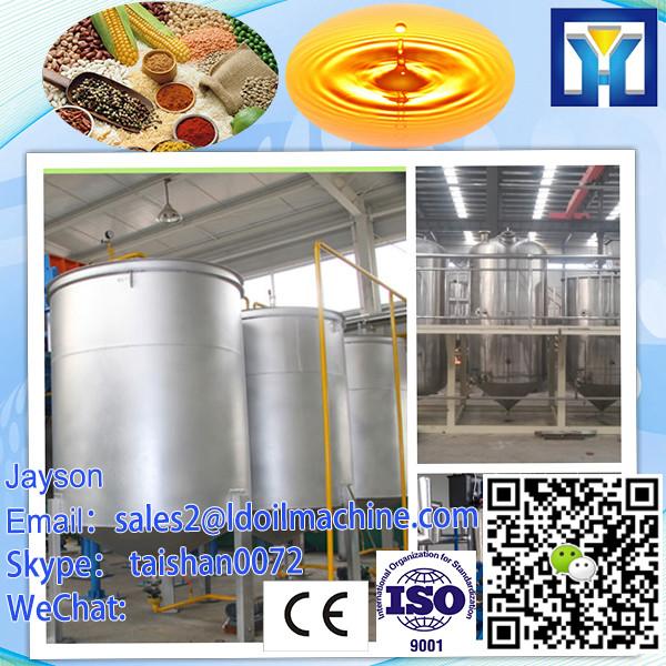 Stainless steel/Casting iron/Polypropylene coconut oil filter machine #2 image