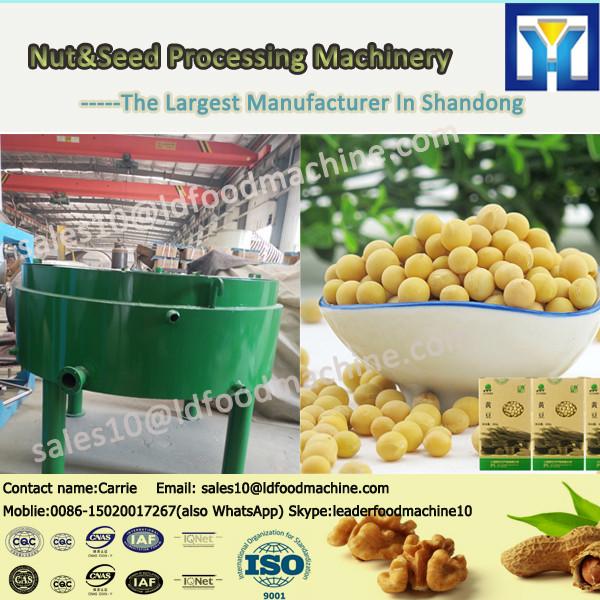Professional Commercial Peanut Cashew Roaster Groundnut Nut Roasting Machine #1 image