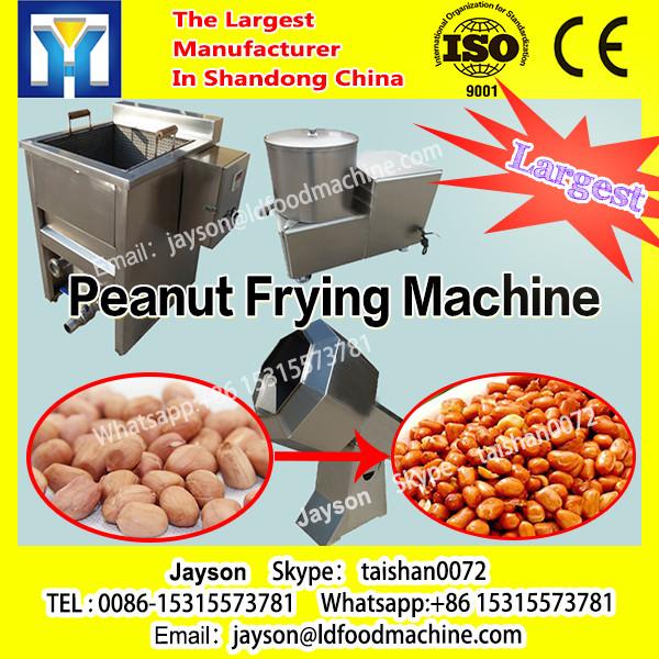 Stainless No Pollution Lower Noise Peanut Batch Frying Machine #1 image