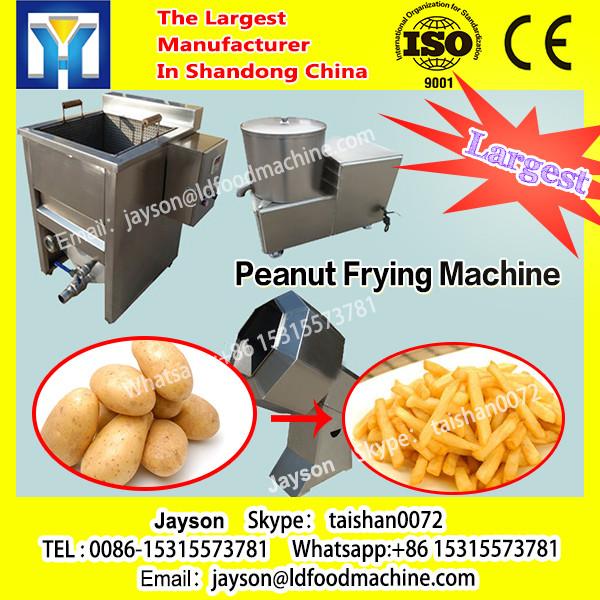 Automatic Continuous Fryer Peanut Roasting Machine Stainless Steel #1 image