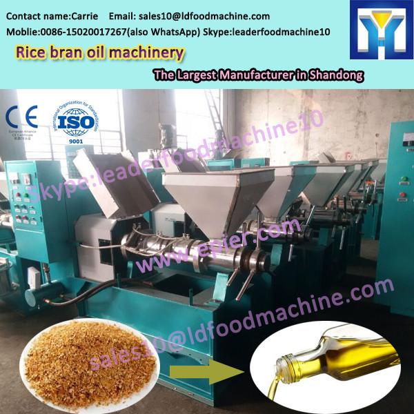 ISO9001BV CE approval 10---500TPD rice bran oil factory machine plant #1 image