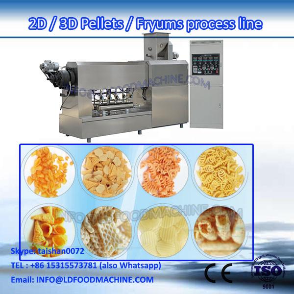 Automatic 2D &amp; 3D Snack Pellet Processing Plant #1 image
