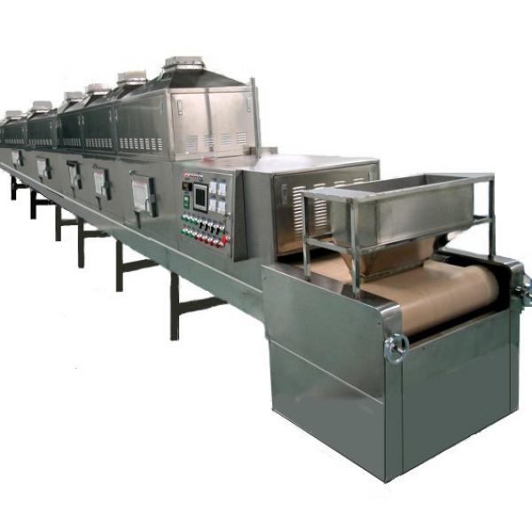 Industrial High Efficiency Dates Dryer Peanut Groundnut Almond Puffing Food Microwave Drying Machine #3 image