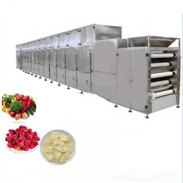 Automatic Fruit Dehydrator Dryer Vegetable Microwave Drying Machine #1 image