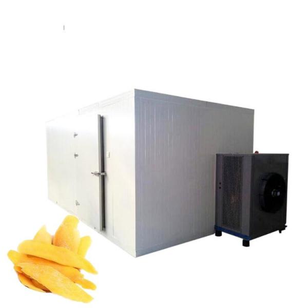 Fzg Yzg Series High Efficient Fruits and Vegetables Industrial Vacuum Drying Machine #1 image