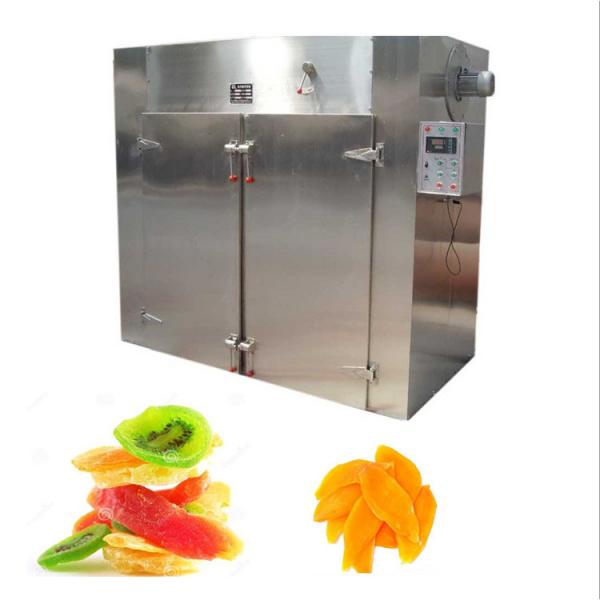 Automatic Fruit Dehydrator Dryer Vegetable Microwave Drying Machine #2 image