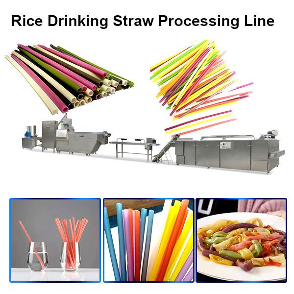2020 popular automatic industrial long cut pasta rice macaroni rice drinking straw making machine #2 image