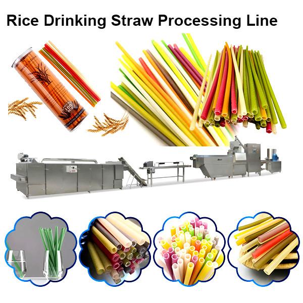 Pasta straw process line /Eco-friendly Rice Flour Drinking Straw making machine #2 image