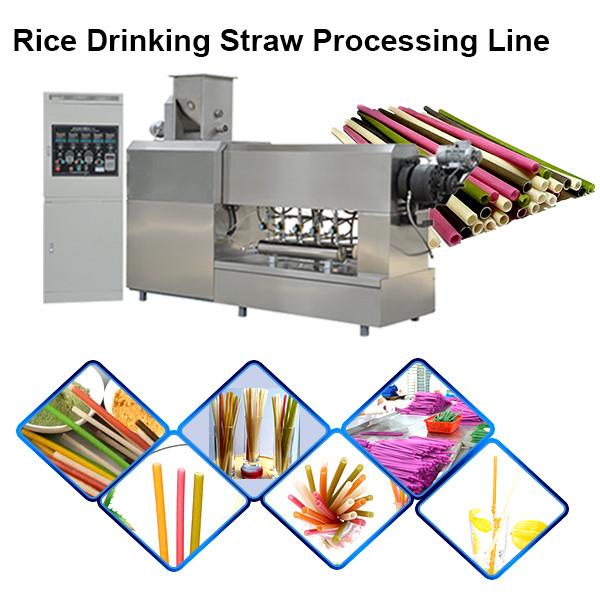 Pasta straw process line /Eco-friendly Rice Flour Drinking Straw making machine #3 image