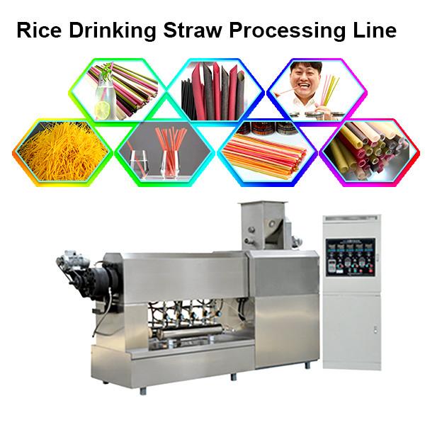 Natural rice flour drinking straw making machine pasta straw making machine #1 image