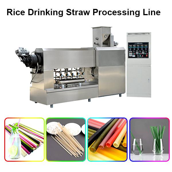 2020 popular automatic industrial long cut pasta rice macaroni rice drinking straw making machine #3 image