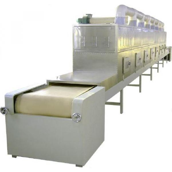 Industrial Food Drying Equipment Continuous Mesh Belt Seafood Air Dryer #1 image