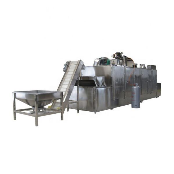 Chinese Medicine Extract Vacuum Conveyor Belt Dryer #1 image