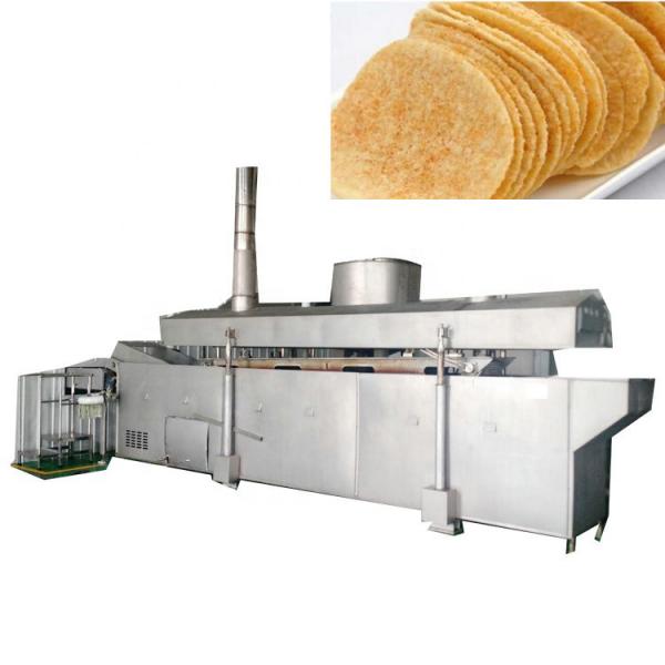 Fresh frozen potato chips factory peeling and cutting machine #3 image